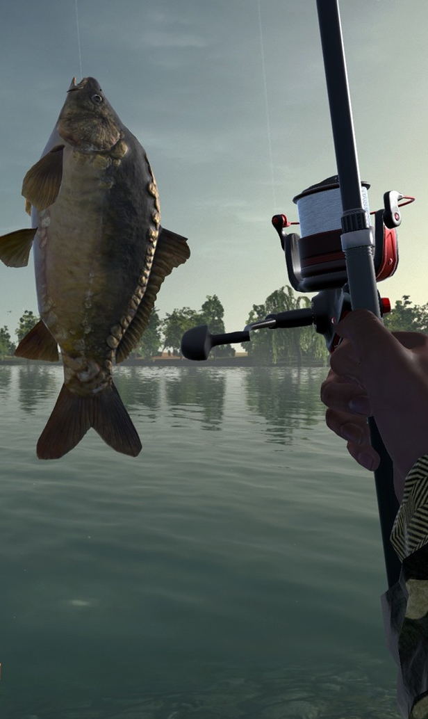 The best fishing games that are a reel catch